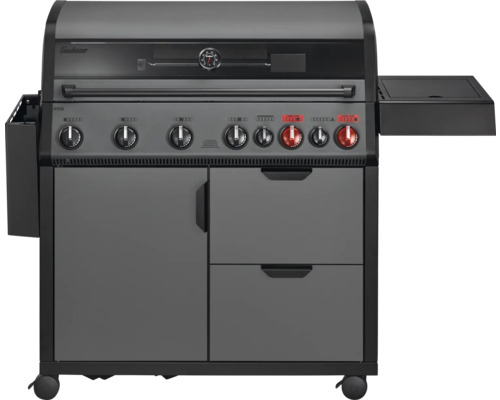 Grill à gaz avec espace de rangement et tablette latérale