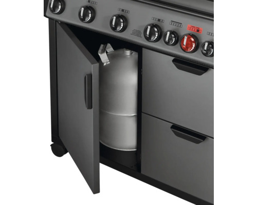 Gril à gaz avec porte ouverte et bouteille de gaz