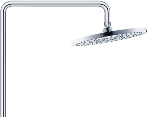 Pomme de douche avec bras de douche