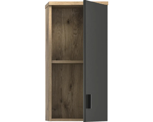 Hängeschrank mit einer Tür und einem Einlegeboden