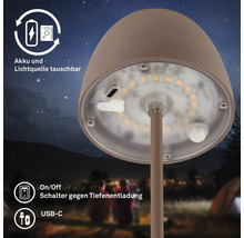 Gros plan d''une lampe champignon avec batterie et source lumineuse remplaçables, interrupteur marche/arrêt et port USB-C