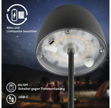 Vue détaillée d''une lampe de jardin avec source lumineuse LED, batterie, connexion USB-C et interrupteur marche/arrêt