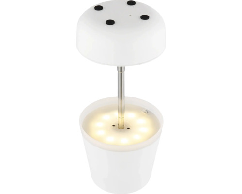 LED-Pflanzenleuchte mit Edelstahlschaft und integrierten LEDs