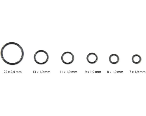 Différentes tailles de joints toriques
