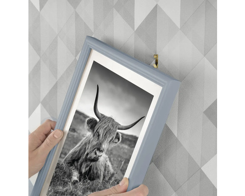 Aufhängen eines gerahmten Schwarzweißfotos von einem schottischen Hochlandrind mit Bilderhaken