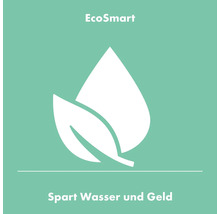 EcoSmart Wassersparfunktion Symbol