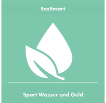 EcoSmart Wassersparfunktion Symbol