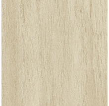 Texture de bois, gros plan