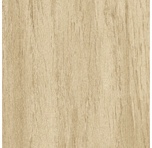 Texture de bois pour projets de construction et de rénovation