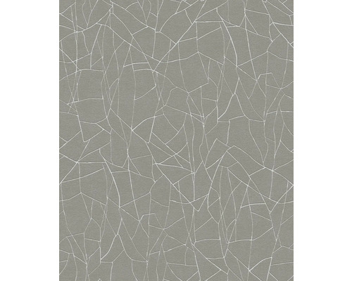 Graue Tapete mit abstraktem Rissmuster für die Wandgestaltung