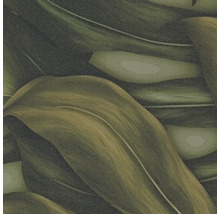 Papier peint avec motif de feuilles