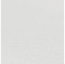 Nahaufnahme einer weißen Tapete mit feiner Struktur