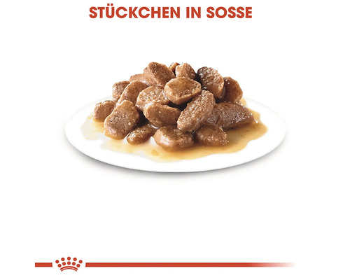 Morceaux en sauce sur une assiette, nourriture pour chat