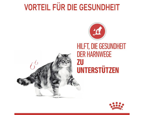 Katze mit Hinweis auf die Unterstützung der Gesundheit der Harnwege