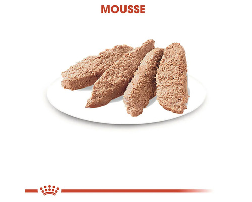 Mousse pour chat dans une assiette