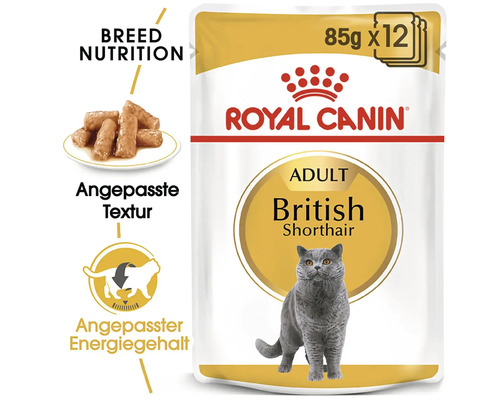 Royal Canin Adult British Shorthair nourriture pour chats en sachet de 85 grammes, lot de 12