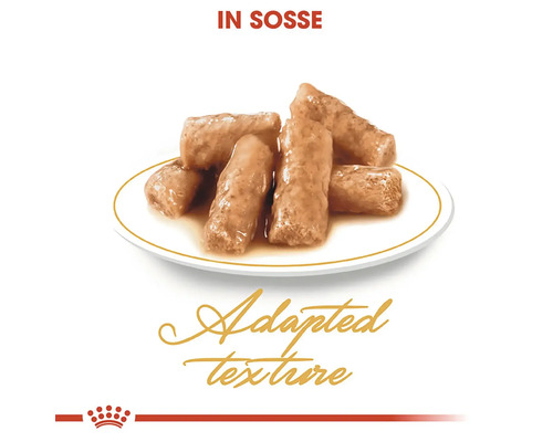 Aliments pour chats en sauce dans une assiette