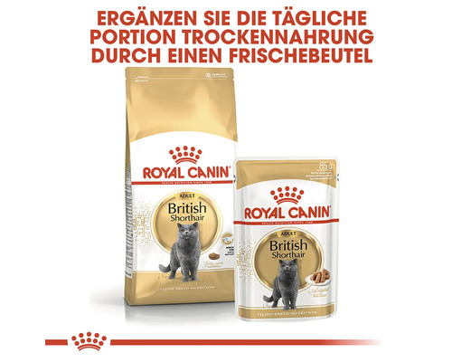 Royal Canin Adult British Shorthair, aliment pour chat, nourriture sèche et humide