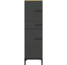 Schuhschrank mit drei Fächern und Füssen