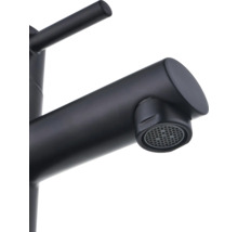 Robinet d'eau froide AVITAL LIMA XS noir mat