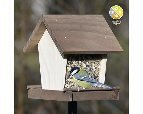Mangeoire en bois avec une mésange charbonnière et le symbole pour le nourrissage tout au long de l''année.