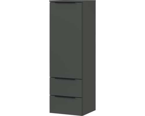 Armoire haute avec une porte et deux tiroirs