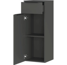 Hängeschrank mit Tür, Regal und Schublade