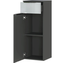 Hängeschrank mit Schublade, Tür und Regalböden