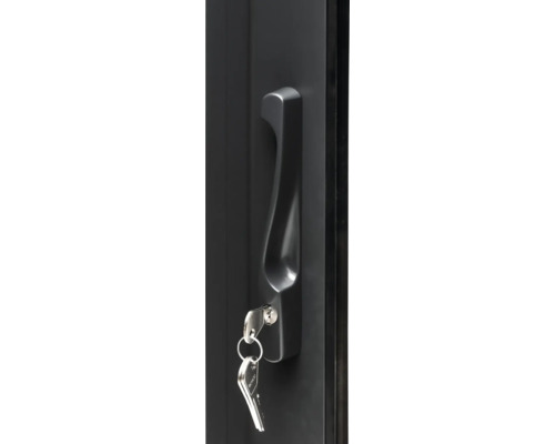 Porte avec poignée et clé