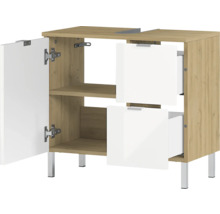 Meuble sous-lavabo avec porte, deux tiroirs et étagères
