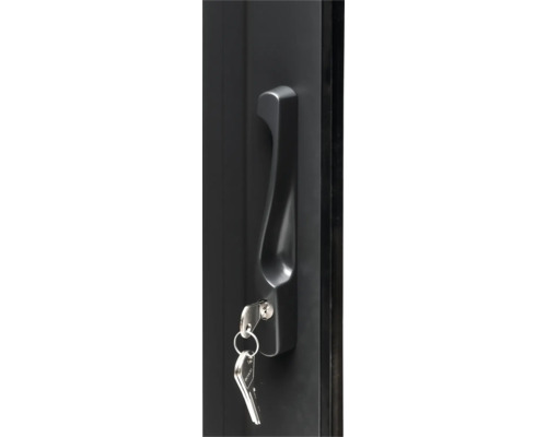 Poignée de porte d''armoire avec clé