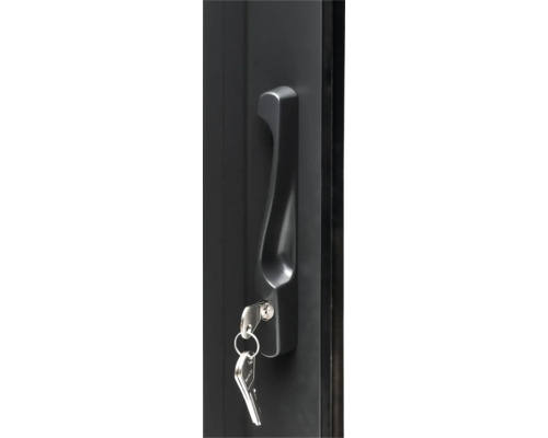 Serrure à cylindre avec clé dans la poignée de porte