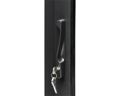 Poignée de porte avec clé