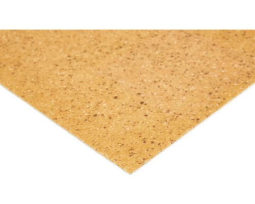 Vue détaillée d''un carreau de sol avec une surface mouchetée.