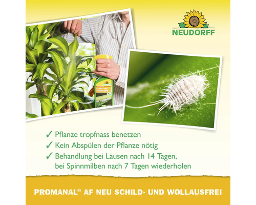 Anwendung von Promanal AF Neu Schild- und Wolllausfrei auf einer Zimmerpflanze zur Bekämpfung von Wollläusen. Neudorff Logo
