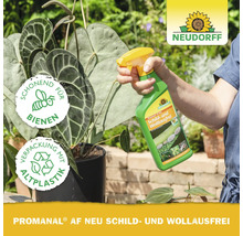 Pflanze wird mit Schädlingsbekämpfungsmittel behandelt, Neudorff Logo, Symbol: Schonend für Bienen, Symbol: Verpackung mit Altplastik