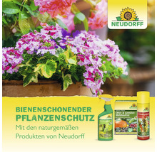 Bienenschonender Pflanzenschutz von Neudorff mit Blattlausfrei, Obst- und Gemüseschutz sowie Schädlingsspray