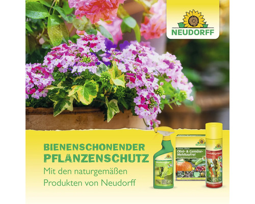 Bienenschonender Pflanzenschutz von Neudorff mit Blattlausfrei, Obst- und Gemüseschutz sowie Schädlingsspray