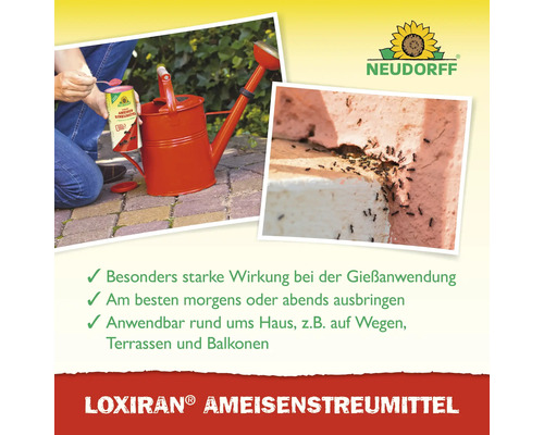 Loxiran Ameisenstreumittel mit Gießanwendung und roter Gießkanne neben einem Ameisennest