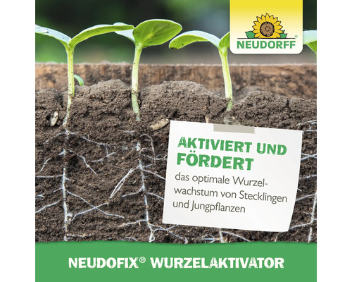 Junge Pflanzen mit sichtbaren Wurzeln im Boden und Neudorff Logo. Produkt: Neudofix Wurzelaktivator.
