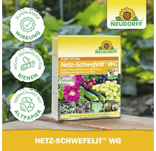Neudorff Netz-Schwefelit WG Fungizid gegen Pilzkrankheiten