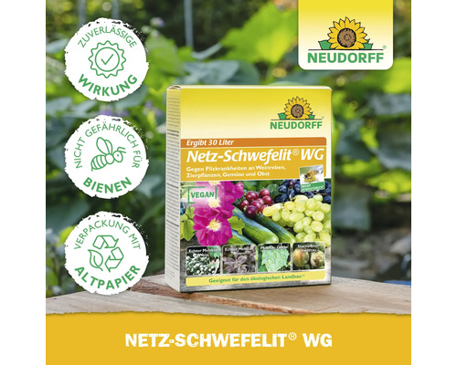 Neudorff Netz-Schwefelit WG Fungizid gegen Pilzkrankheiten
