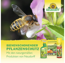 Bienenfreundlicher Pflanzenschutz mit Produkten von Neudorff, gezeigt mit einer Biene auf einer Blüte.