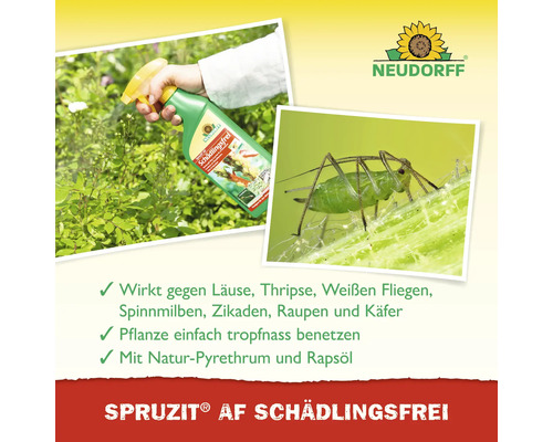 Neudorff Schädlingsfrei Schädlingsbekämpfungsmittel zur Bekämpfung von Blattläusen, Thripsen, Weißen Fliegen, Spinnmilben, Zikaden, Raupen und Käfern