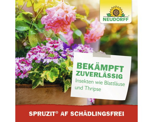 Blumen und Schädlingsbekämpfungsmittel mit dem Text: Bekämpft zuverlässig Insekten wie Blattläuse und Thripse