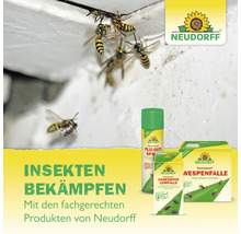 Neudorff Insektenbekämpfungsprodukte mit Wespen am Nest