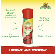 Loxiran Ameisenspray zur effektiven Bekämpfung von Ameisen und Ameisennestern, geeignet für Innen- und Außenbereiche, mit Natur-Pyrethrum, Neudorff Logo