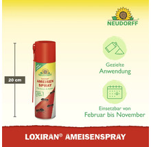 Neudorff Loxiran Ameisenspray, 20 Zentimeter hoch, zur gezielten Anwendung von Februar bis November