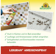 Darstellung eines Neudorff Loxiran Ameisensprays im Einsatz gegen Ameisen in Küche oder Bad. Neudorff Logo.