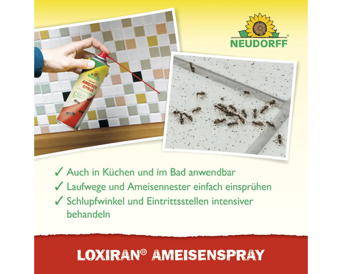 Darstellung eines Neudorff Loxiran Ameisensprays im Einsatz gegen Ameisen in Küche oder Bad. Neudorff Logo.